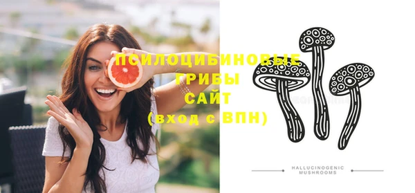 гашик Верхнеуральск