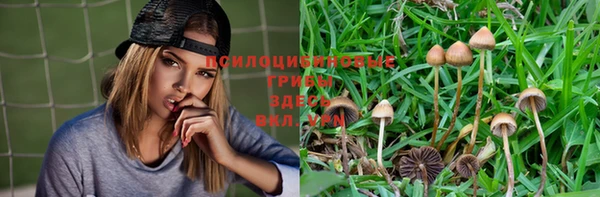 марки lsd Верхний Тагил
