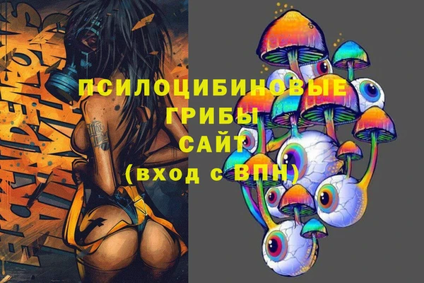 гашик Верхнеуральск
