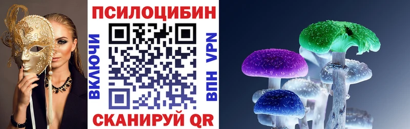 Псилоцибиновые грибы Psilocybine cubensis  Купить где  Новоузенск 
